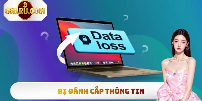 Bị đánh cắp thông tin
