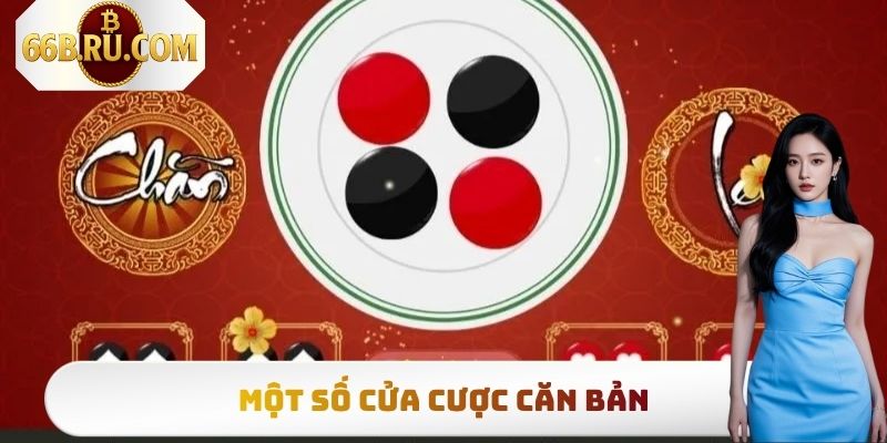 Một số cửa cược căn bản