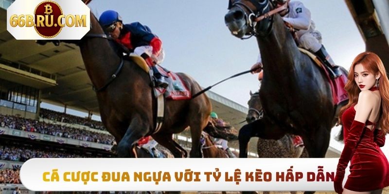 Cá cược đua ngựa với nhiều tỷ lệ kèo vô cùng hấp dẫn